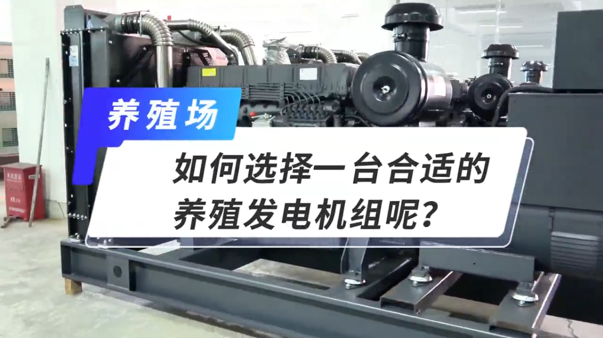 「視頻」如何選擇一臺合適的養(yǎng)殖發(fā)電機組呢？